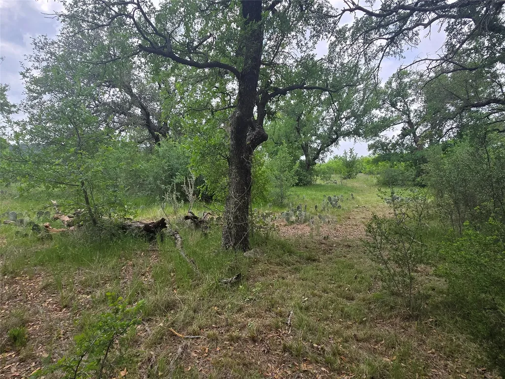 Lot 913 Cinnamon Teal Graford TX 76449