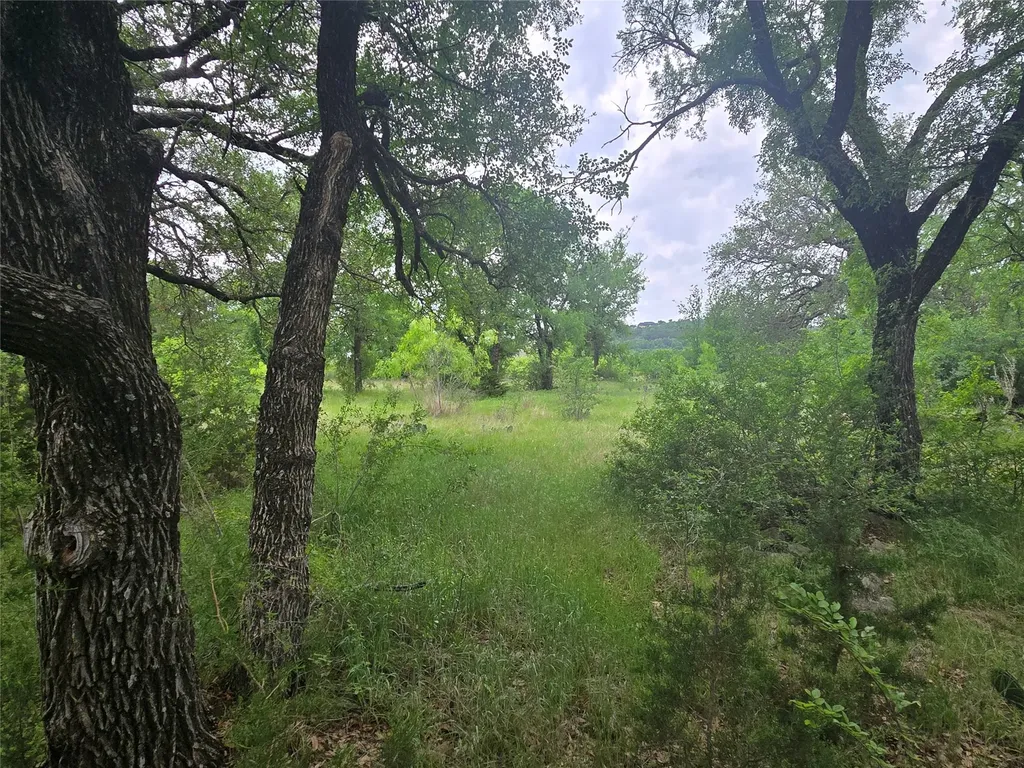 Lot 913 Cinnamon Teal Graford TX 76449