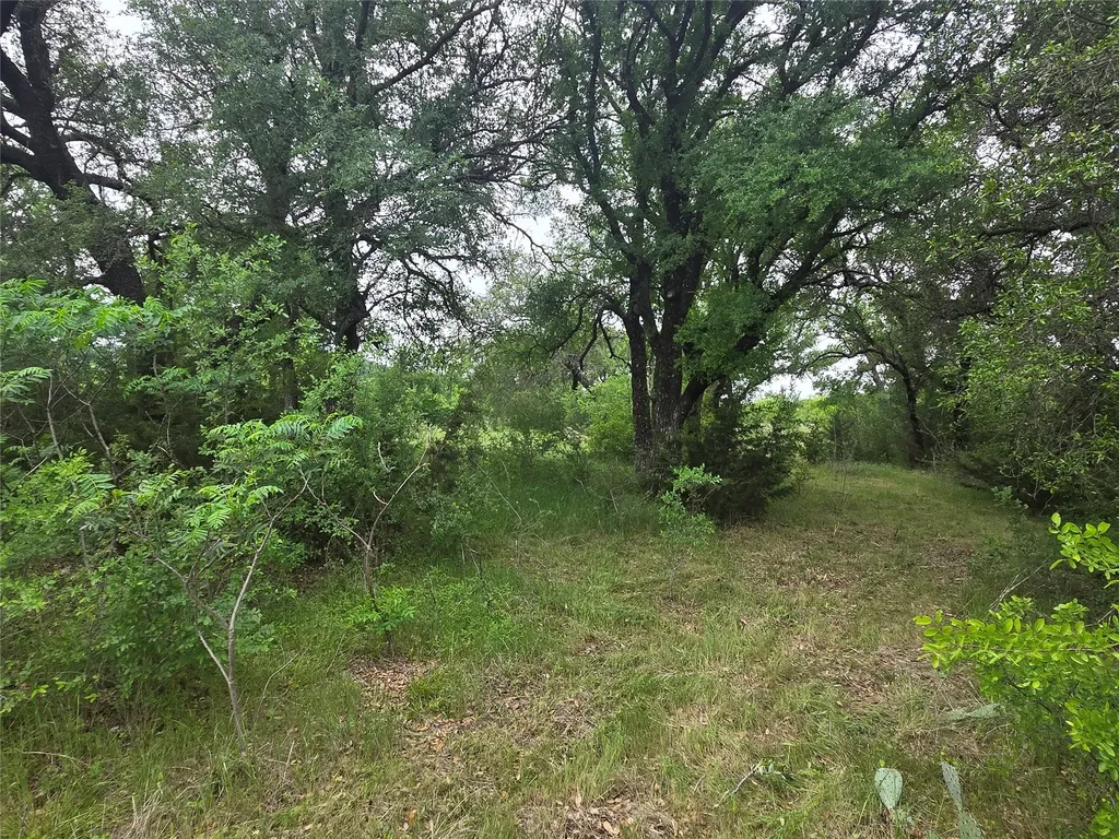 Lot 913 Cinnamon Teal Graford TX 76449