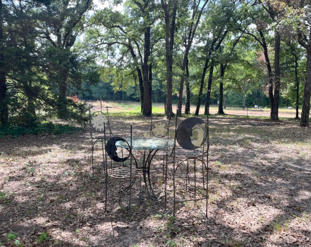 1038 Sandy Oaks Road Quinlan TX 75474
