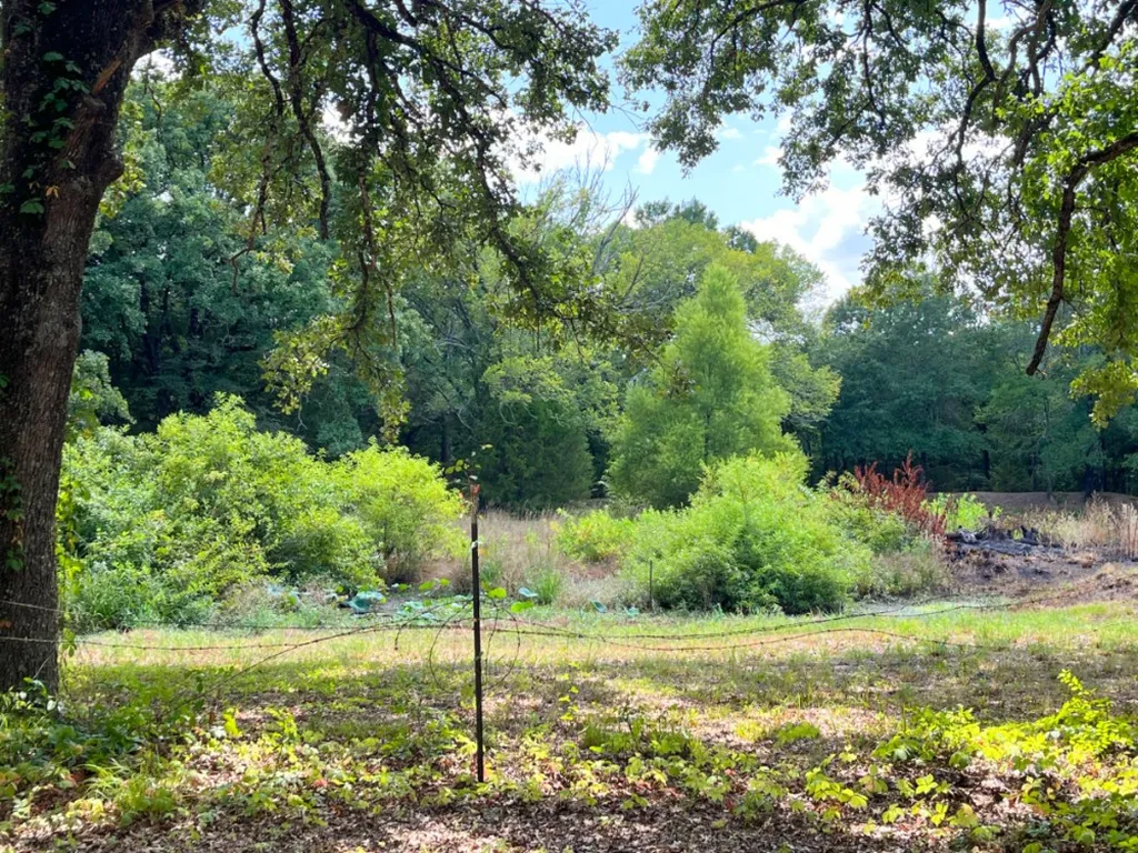 1038 Sandy Oaks Road Quinlan TX 75474