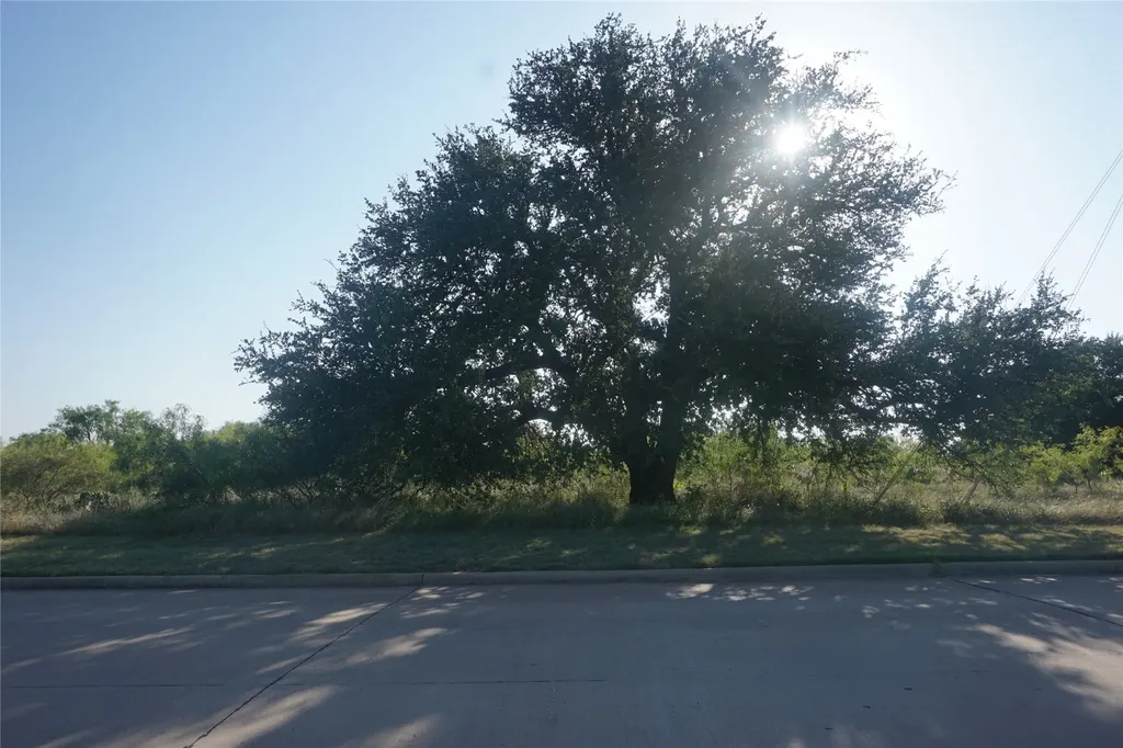 Lot 141 Spyglass Drive Possum Kingdom Lake TX 76449
