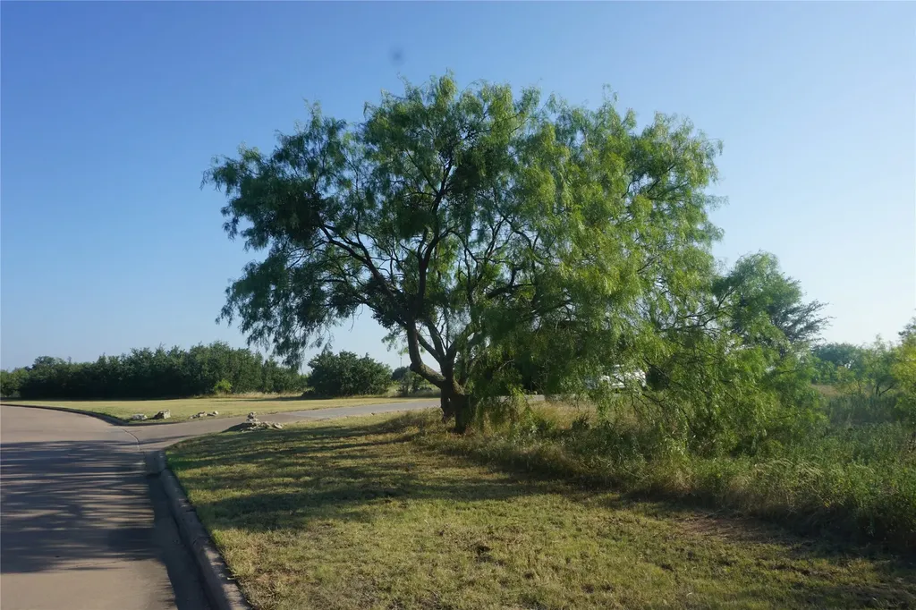Lot 141 Spyglass Drive Possum Kingdom Lake TX 76449