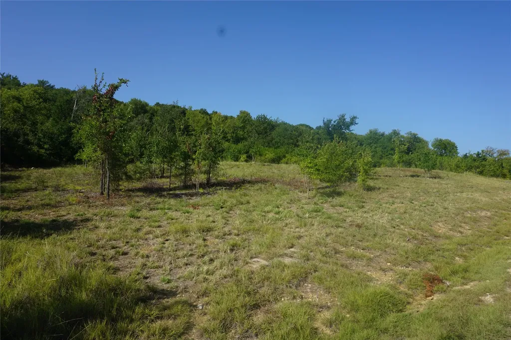 Lot 158 Canyon Wren Possum Kingdom Lake TX 76449