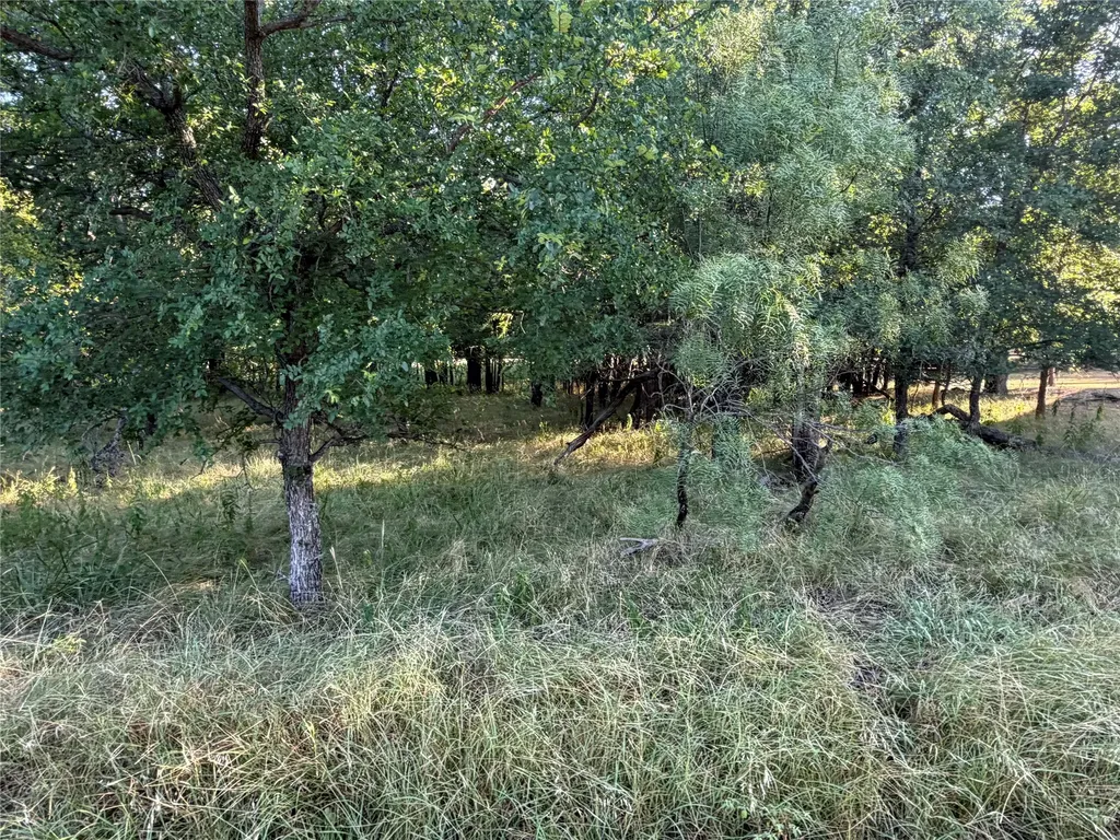 Lot 591 Cypress Drive May TX 76857