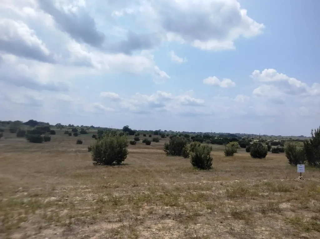 514 Hollow Drive Lipan TX 76433