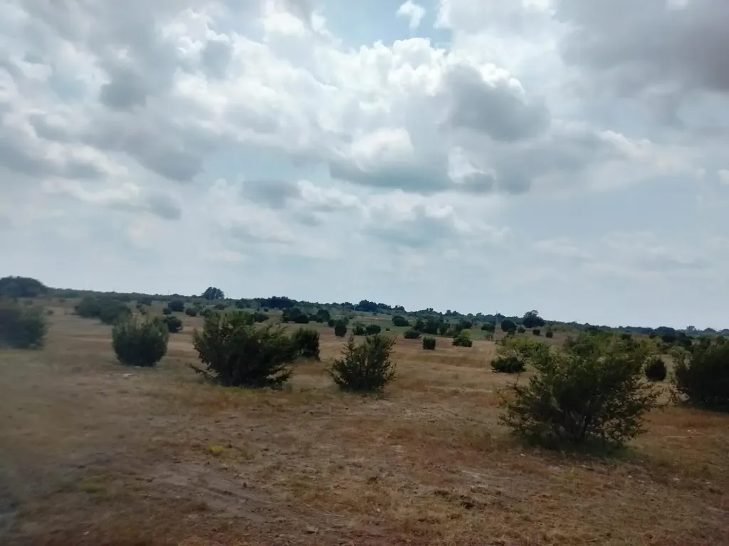 514 Hollow Drive Lipan TX 76433