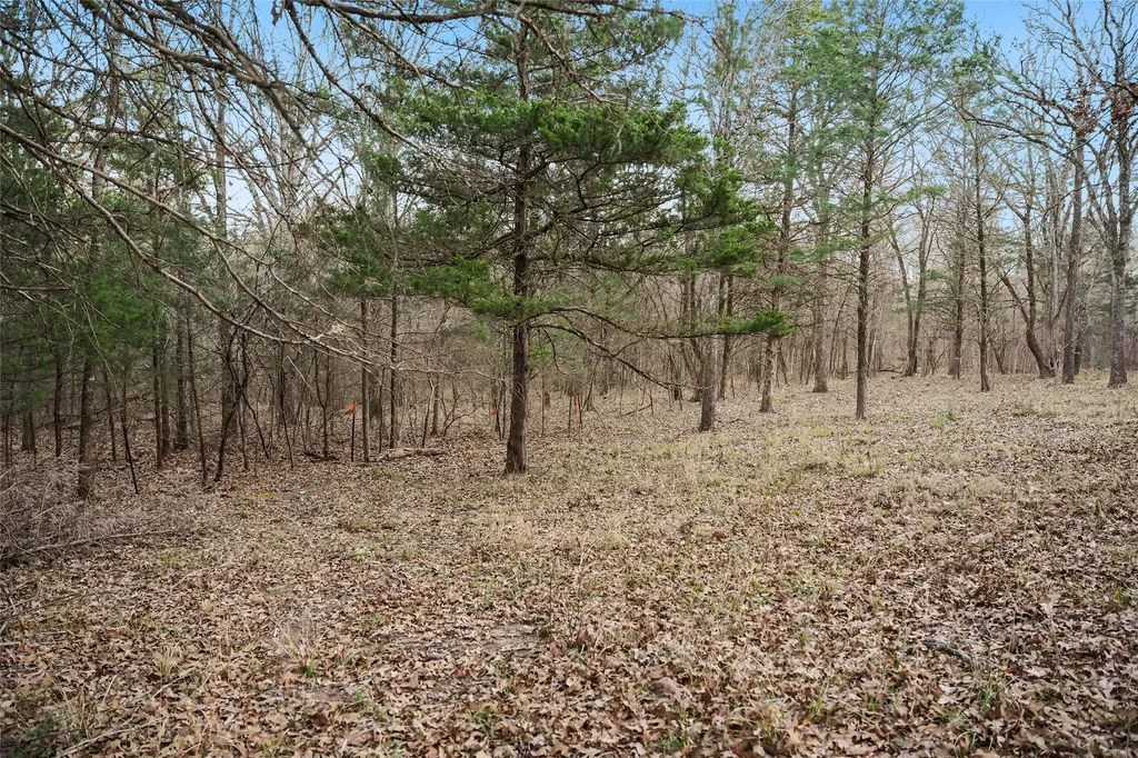 344 Rs County Road 4254 Point TX 75472
