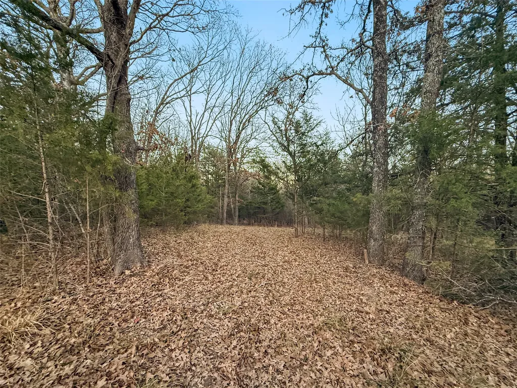 344 Rs County Road 4254 Point TX 75472