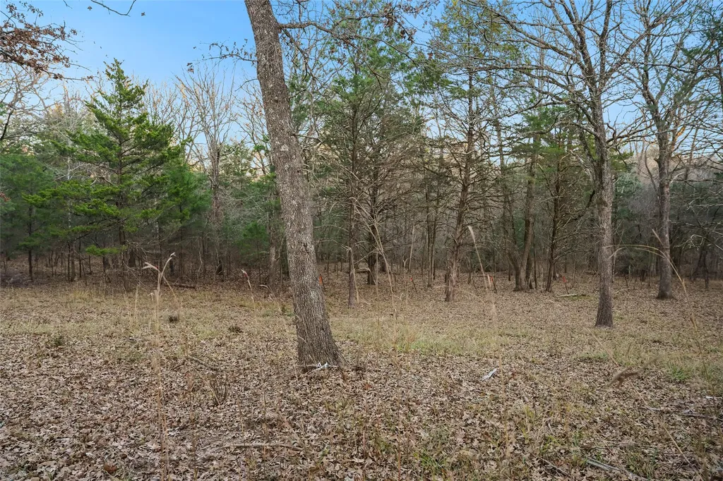 344 Rs County Road 4254 Point TX 75472