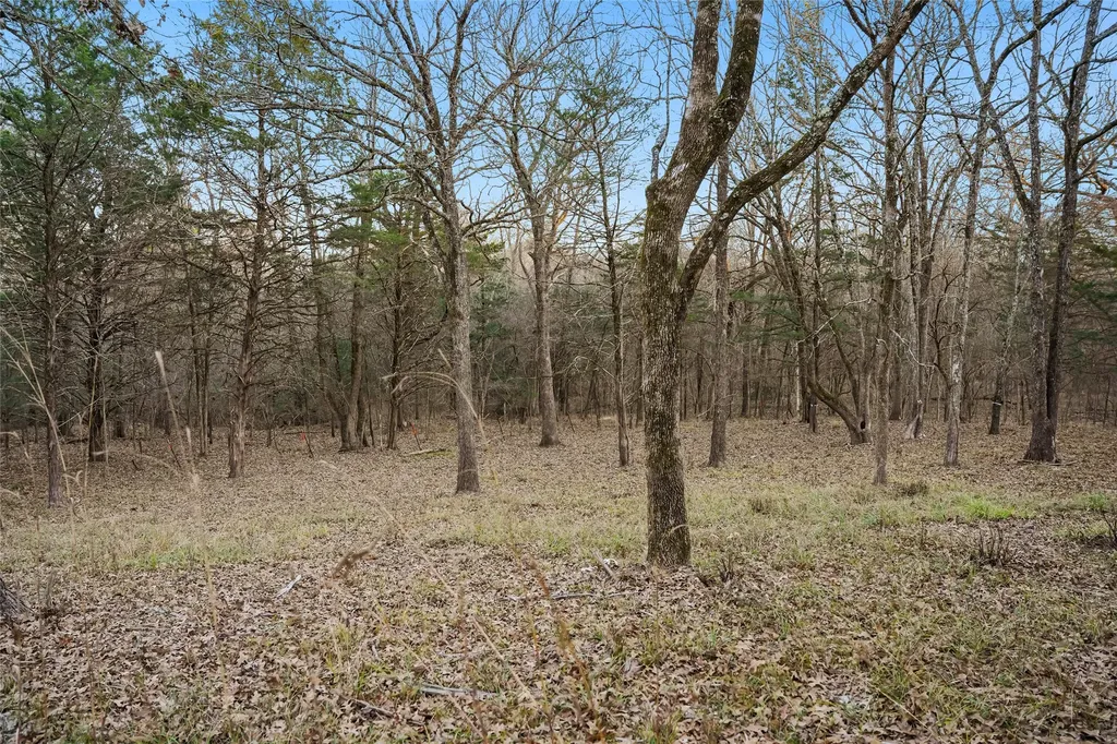344 Rs County Road 4254 Point TX 75472