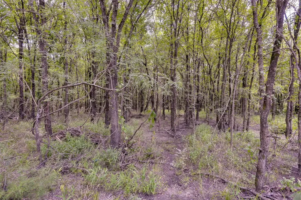 581 Dunkerley Road Ennis TX 75119