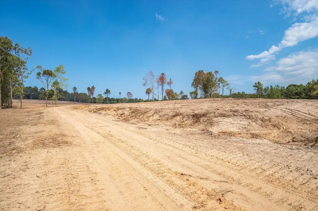 19451 County Road 4307 Road Larue TX 75770