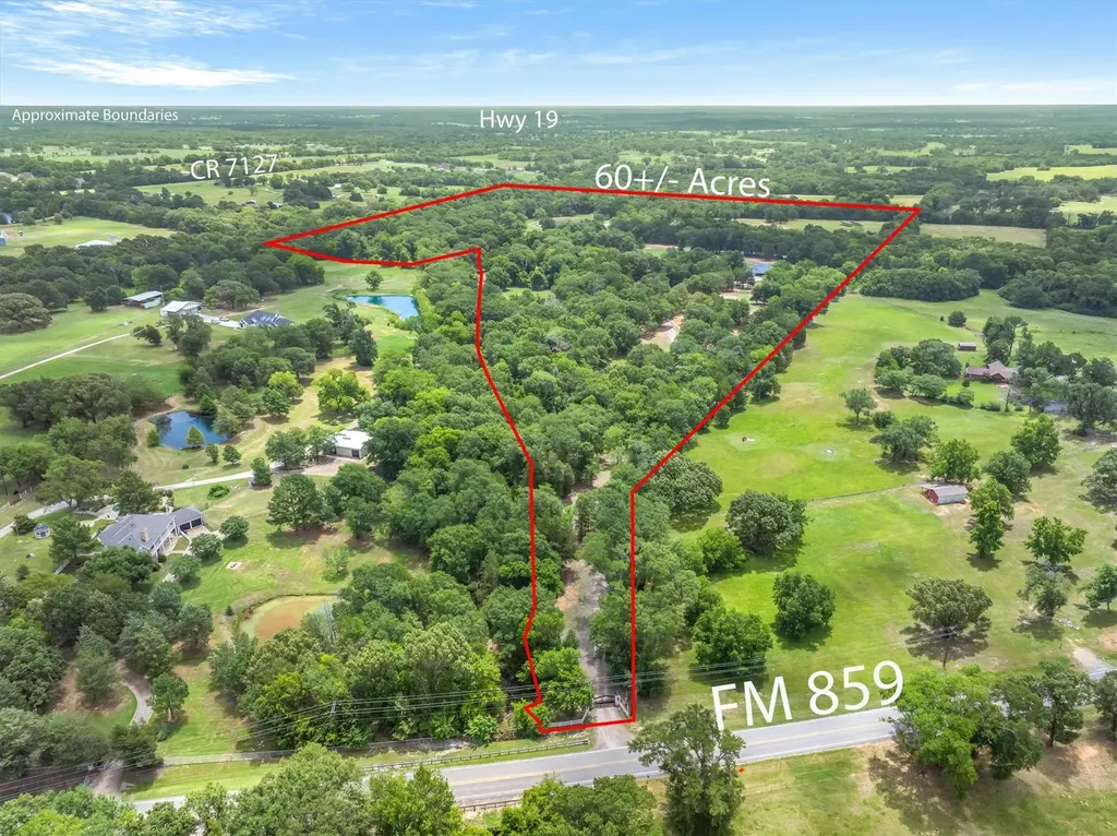 12365 Fm 859 Wills Point TX 75169
