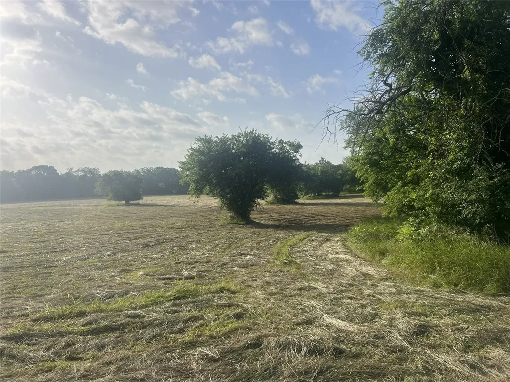 Tbd Seven Oaks Road Bonham TX 75418