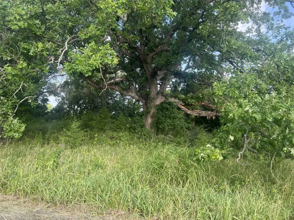 Tbd Seven Oaks Road Bonham TX 75418
