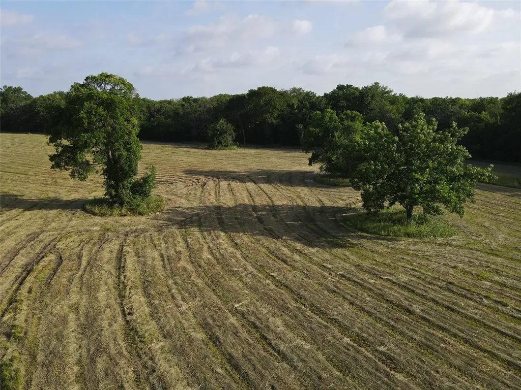 Tbd Seven Oaks Road Bonham TX 75418