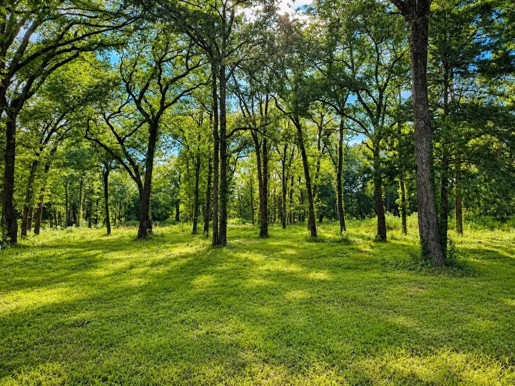 Tbd County Road 1503 Point TX 75472