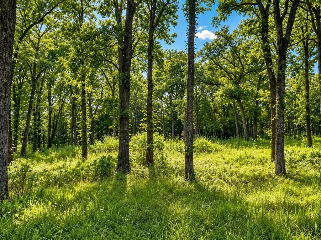 Tbd County Road 1503 Point TX 75472