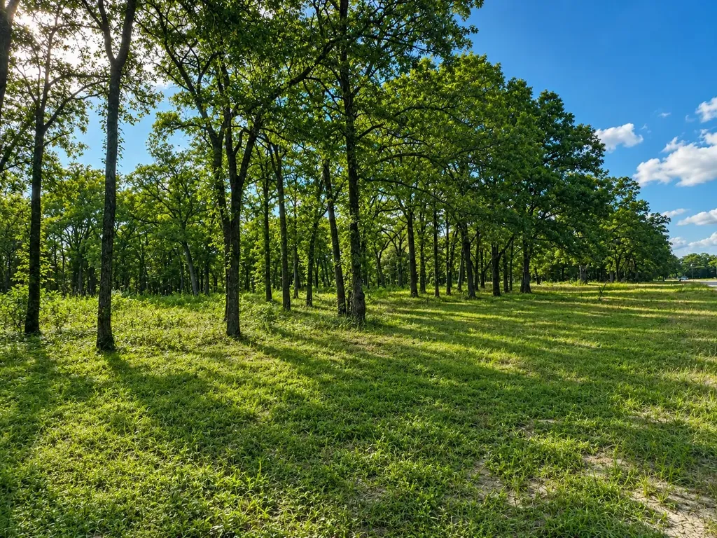 Tbd County Road 1503 Point TX 75472