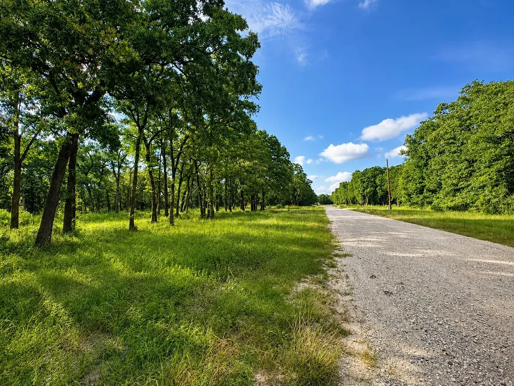 Tbd County Road 1503 Point TX 75472