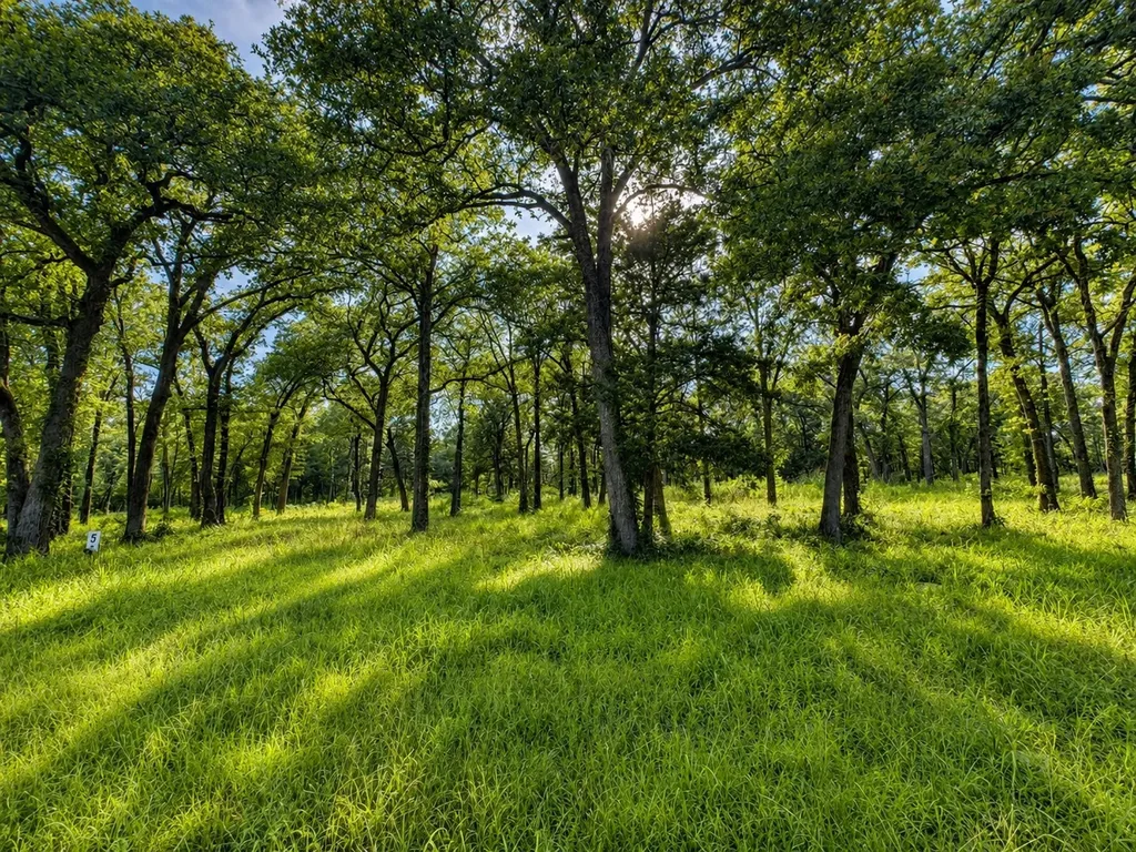 Tbd County Road 1503 Point TX 75472