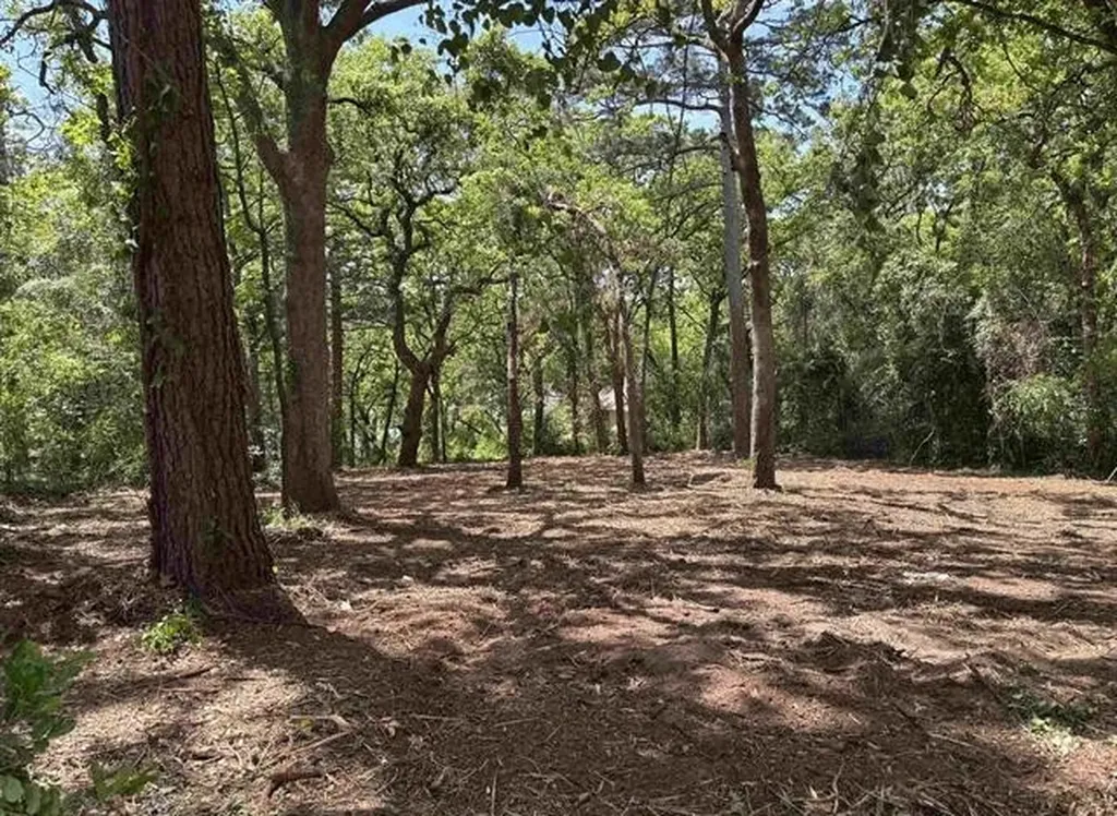 514 Dogwood Lane Hideaway TX 75771