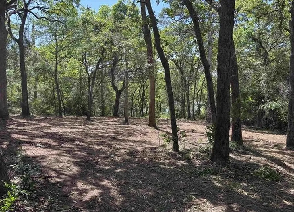 514 Dogwood Lane Hideaway TX 75771