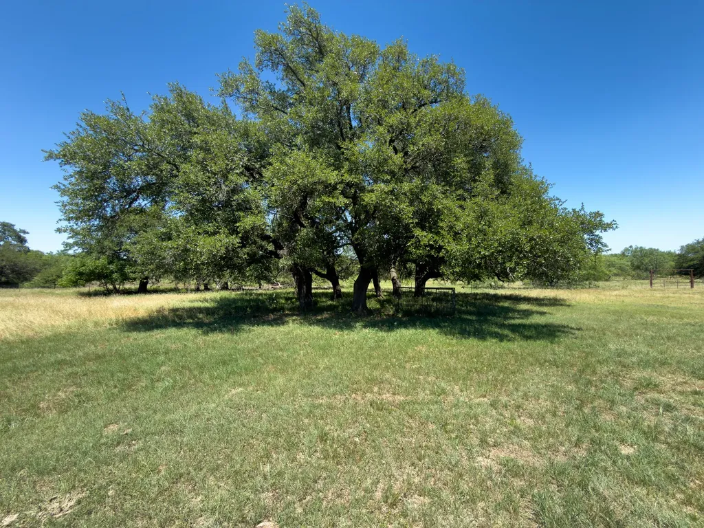 950 County Road 126 Moran TX 76464