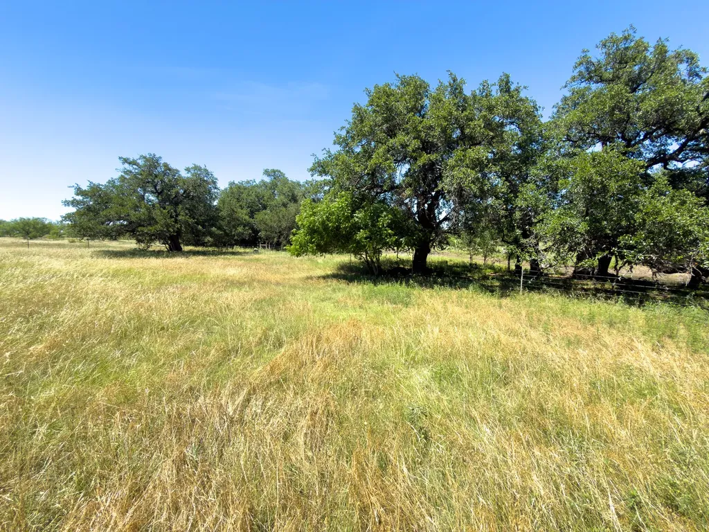 950 County Road 126 Moran TX 76464
