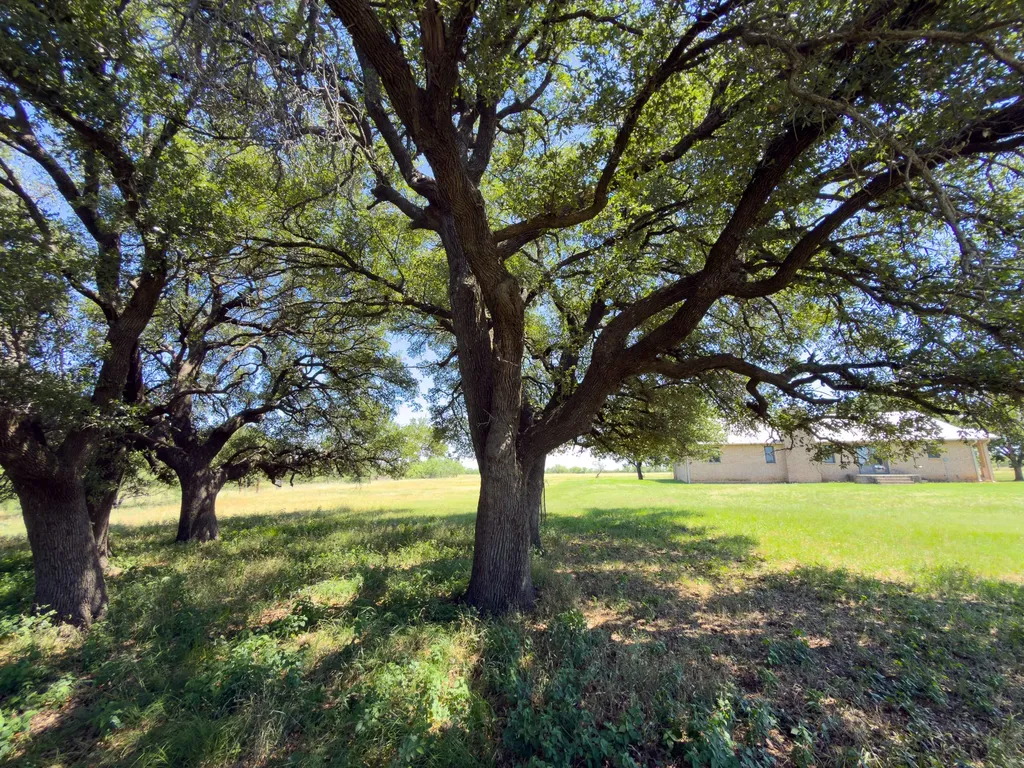 950 County Road 126 Moran TX 76464