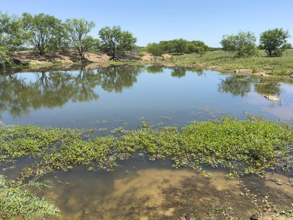 950 County Road 126 Moran TX 76464