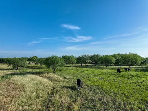 950 County Road 126 Moran TX 76464