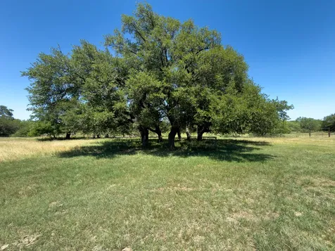950 County Road 126 Moran TX 76464