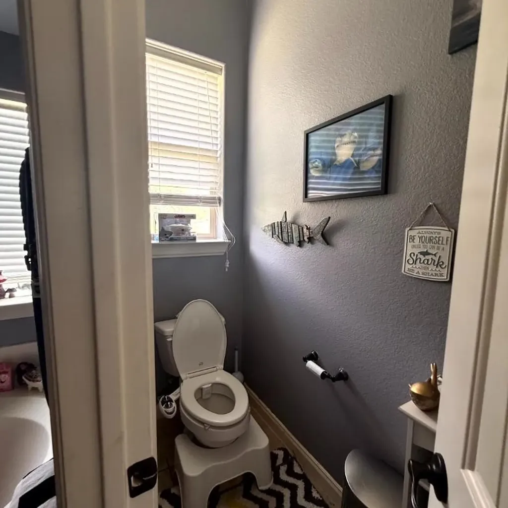 11909 Caddo Creek Drive Lavon TX 75166