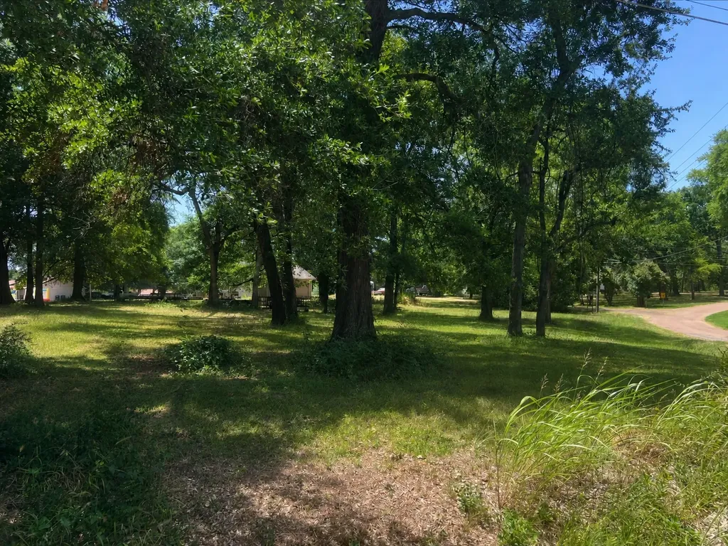 Tbd Shady Shores Drive Mabank TX 75156