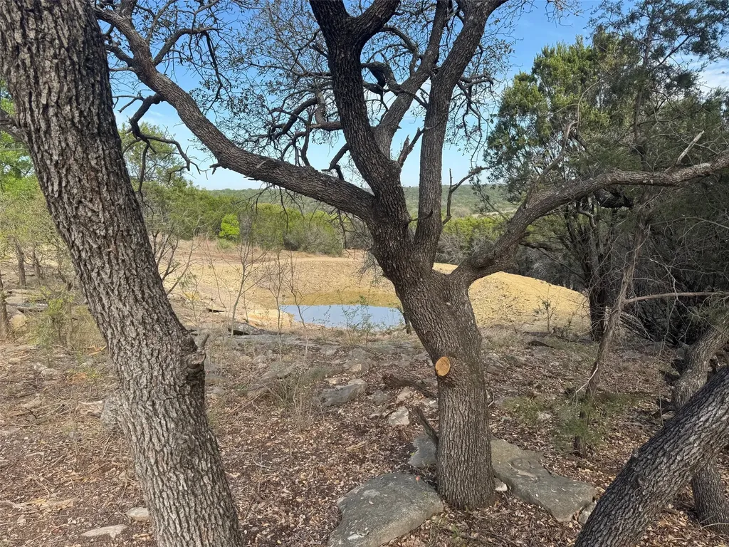 1061 Shiloh Vista Lane Tolar TX 76476