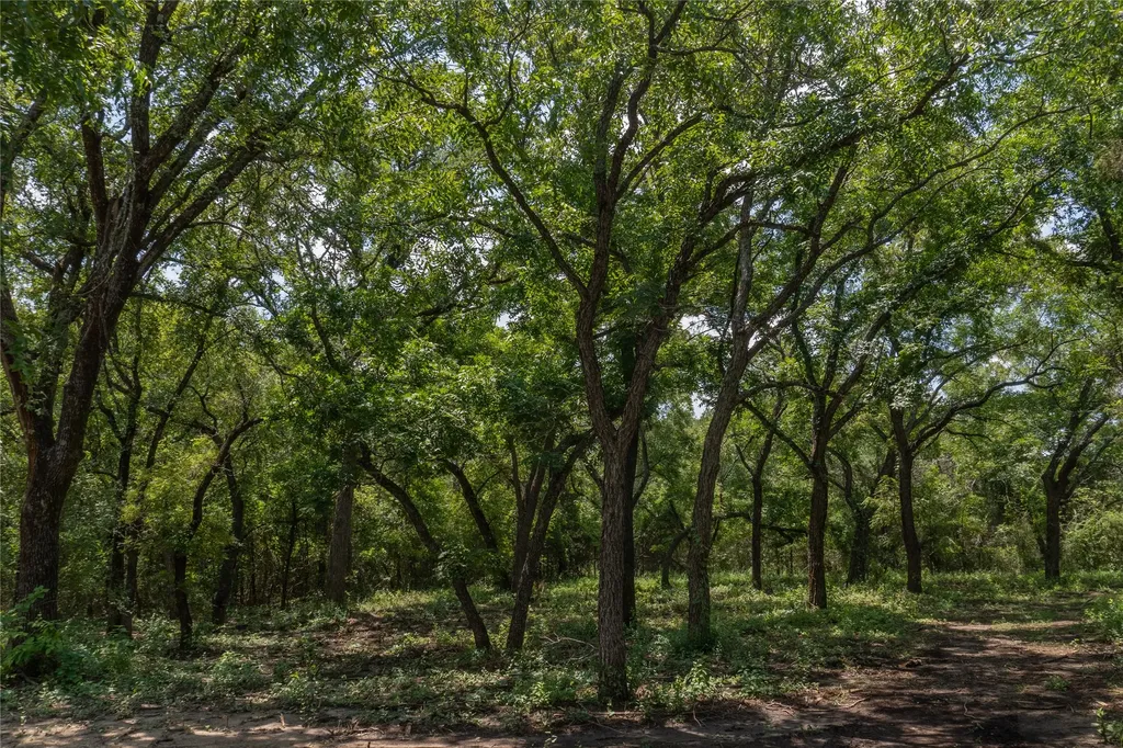 1030 Shiloh Vista Lane Tolar TX 76476