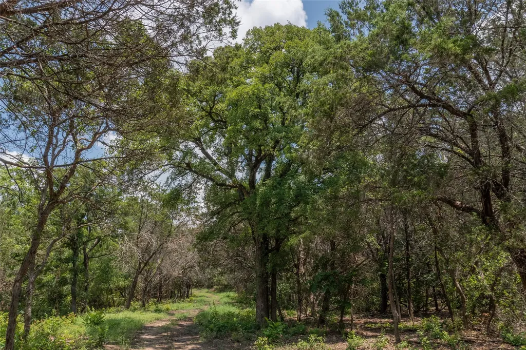 1030 Shiloh Vista Lane Tolar TX 76476