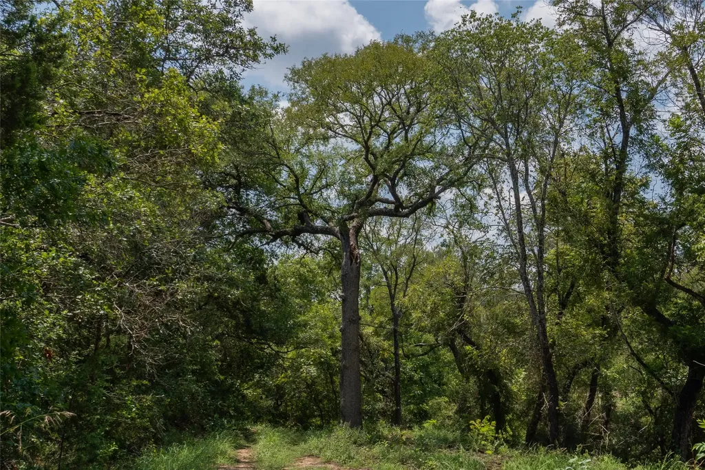 1030 Shiloh Vista Lane Tolar TX 76476