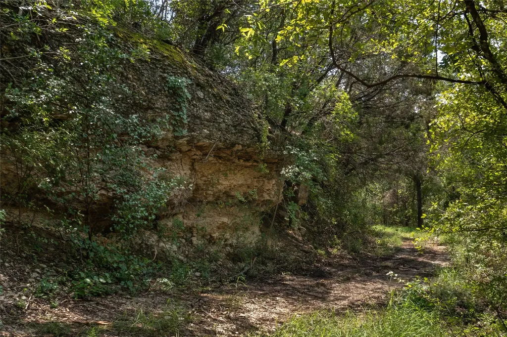 1030 Shiloh Vista Lane Tolar TX 76476