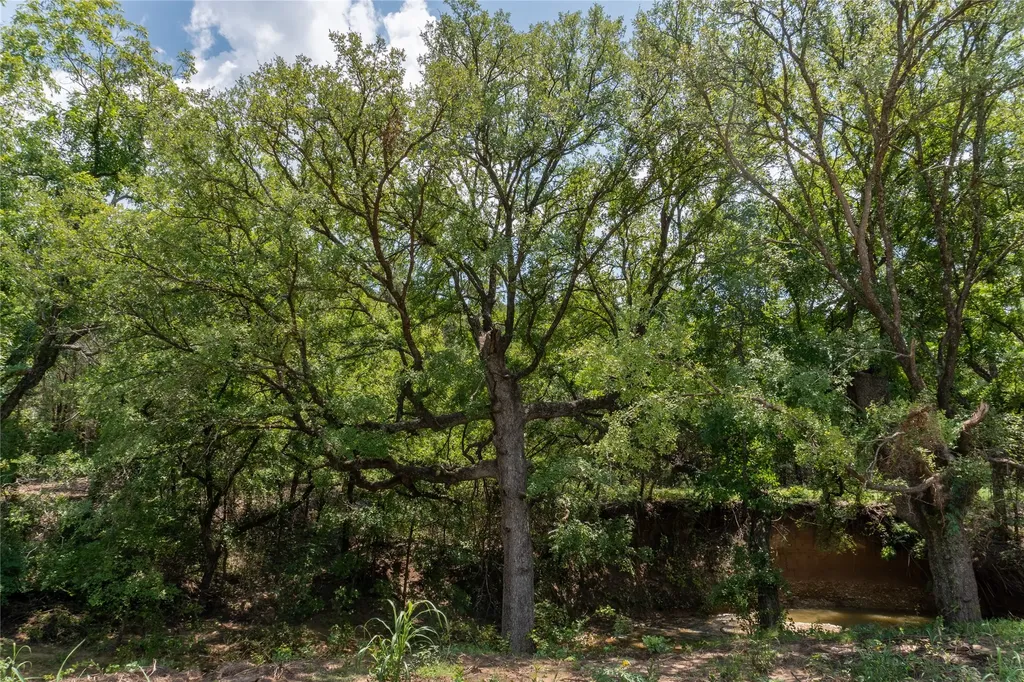 1030 Shiloh Vista Lane Tolar TX 76476