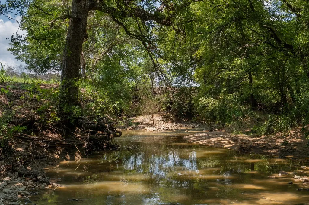 1030 Shiloh Vista Lane Tolar TX 76476