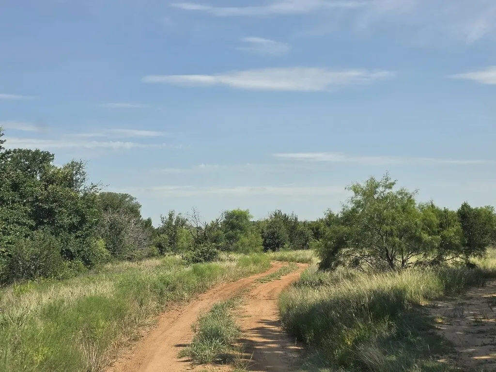 0001 County Road 2225 Iredell TX 76649
