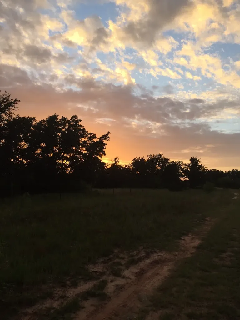 0001 County Road 2225 Iredell TX 76649
