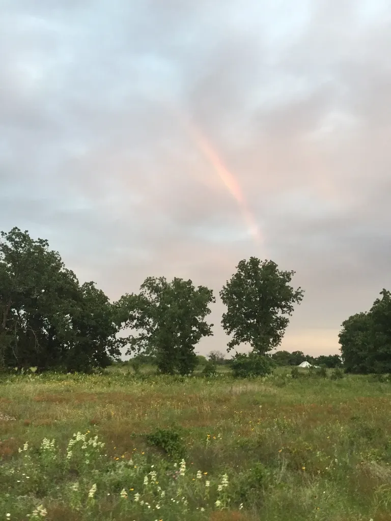 0001 County Road 2225 Iredell TX 76649
