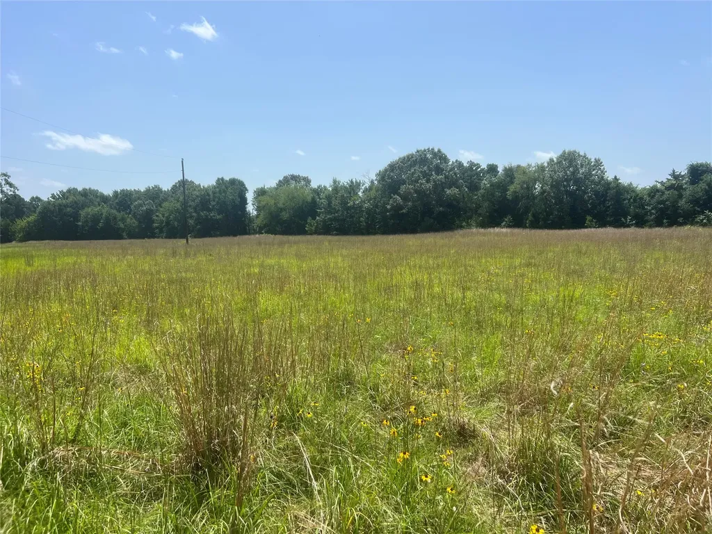 Tract 1 Cr 44400 Powderly TX 75473