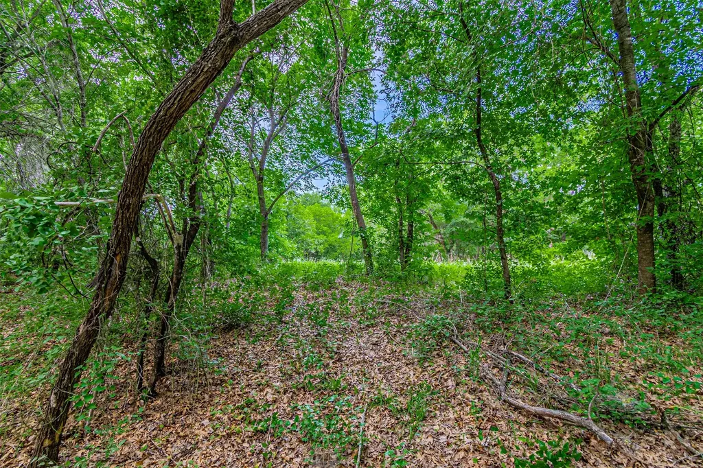 Tbd River View Court Granbury TX 76048