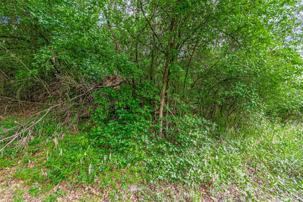 Tbd River View Court Granbury TX 76048