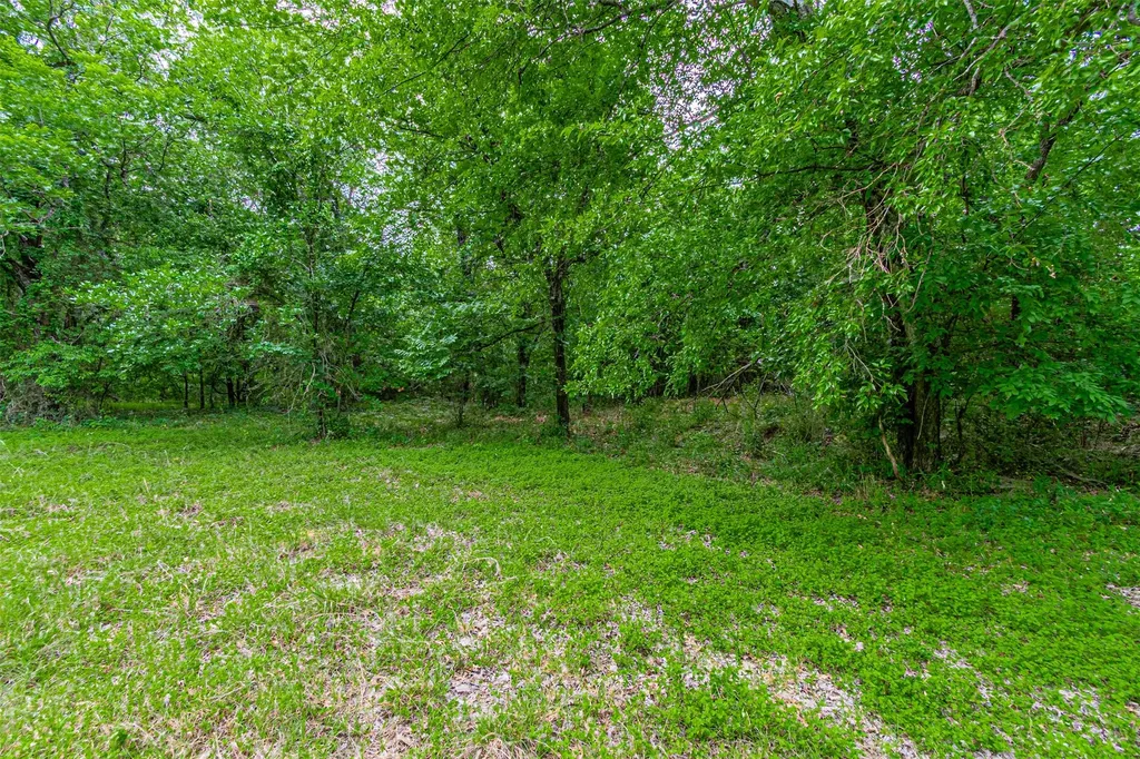 Tbd River View Court Granbury TX 76048